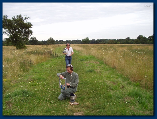 600x449 pixels (130K)